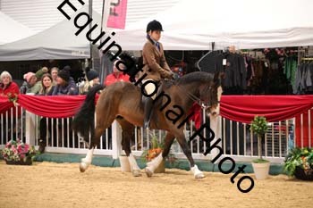 ERB-9878