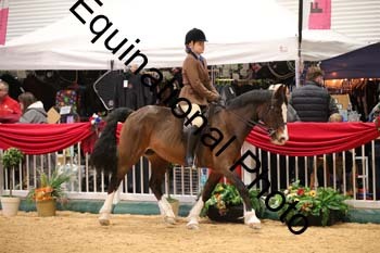 ERB-9879