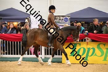 ERB-9881