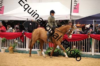 ERB-9886