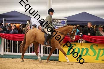 ERB-9888