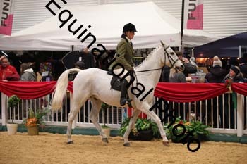 ERB-9893