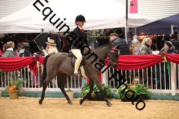ERB-9898