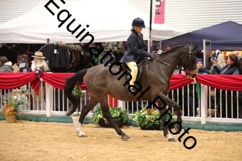 ERB-9931