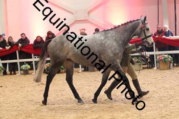 ERN-1802