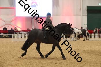 ERN-2327