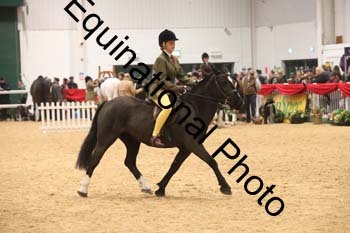 ERN-2343
