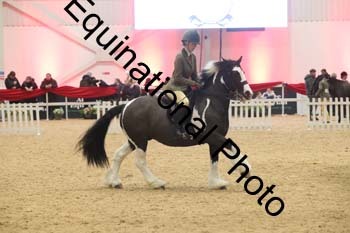 ERN-2382