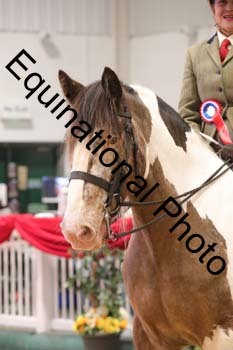 ERN-2538