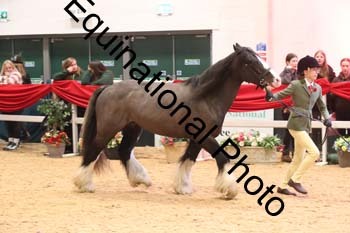 ERN-2658