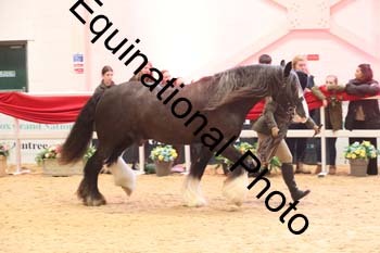 ERN-2667