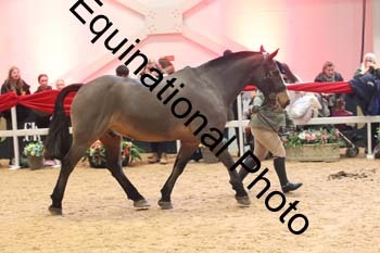 ERN-2687