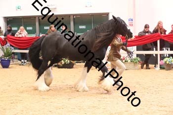 ERN-2695