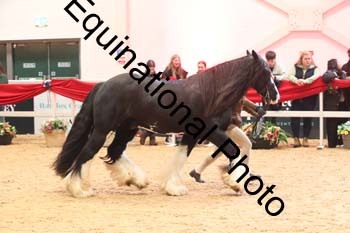 ERN-2696