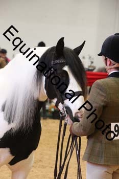 ERN-2727