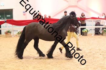 ERN-2741