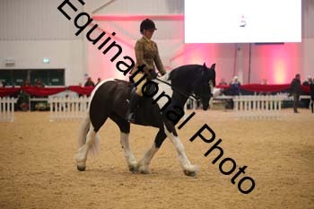 ERN-2852