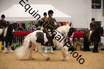 ERN-2993