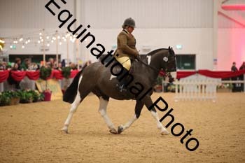 ERN-3008