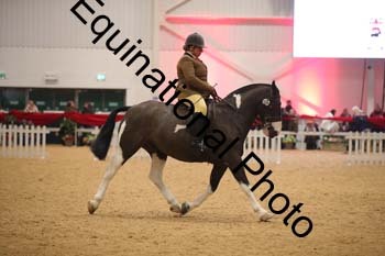 ERN-3009