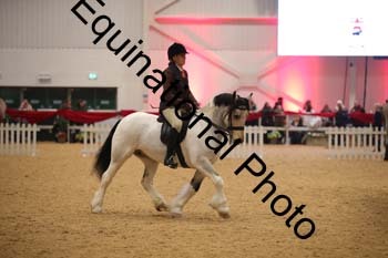 ERN-3017