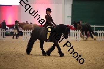 ERN-3028