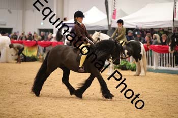 ERN-3030