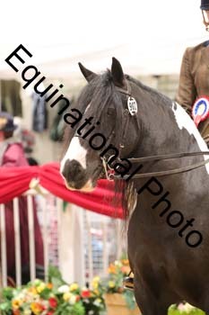 ERN-3045