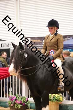 ERN-3085