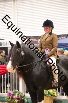 ERN-3086