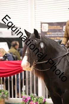 ERN-3087