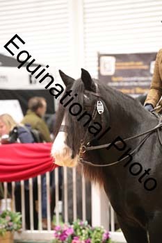 ERN-3088
