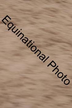 ERN-3256