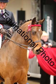 1_DRA-5381