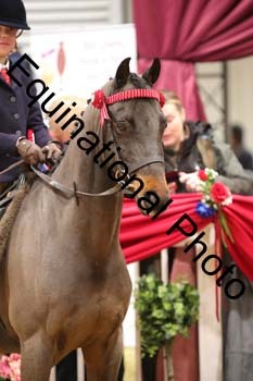 1_DRA-5388