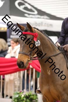 1_DRA-5393
