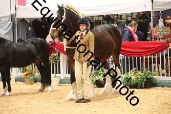 GBR-1409