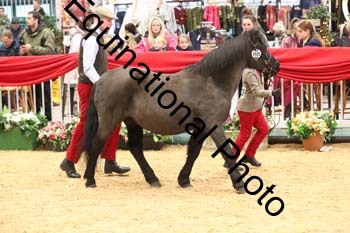 1_GBR-2919