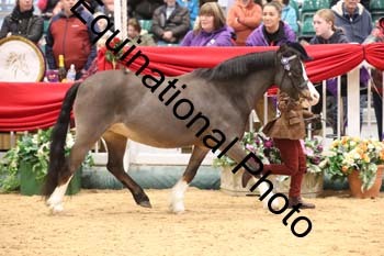 1_GBR-2923