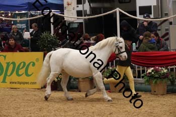 1_GBR-2957