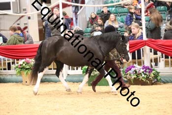 GBR-2954