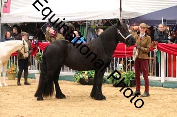 GBR-3492