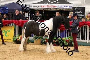 GBR-3496