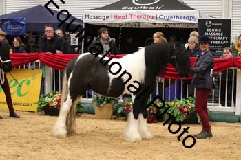 GBR-3497