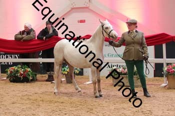 GBR-3551