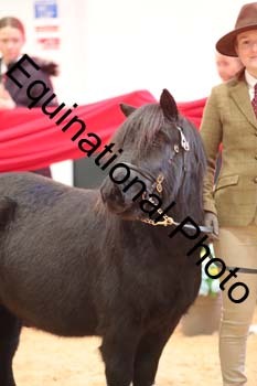 GBR-3568
