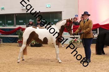GBR-3569