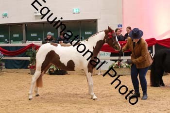 GBR-3570