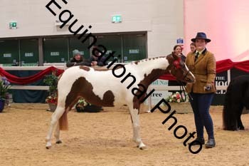 GBR-3572