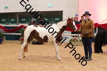 GBR-3574